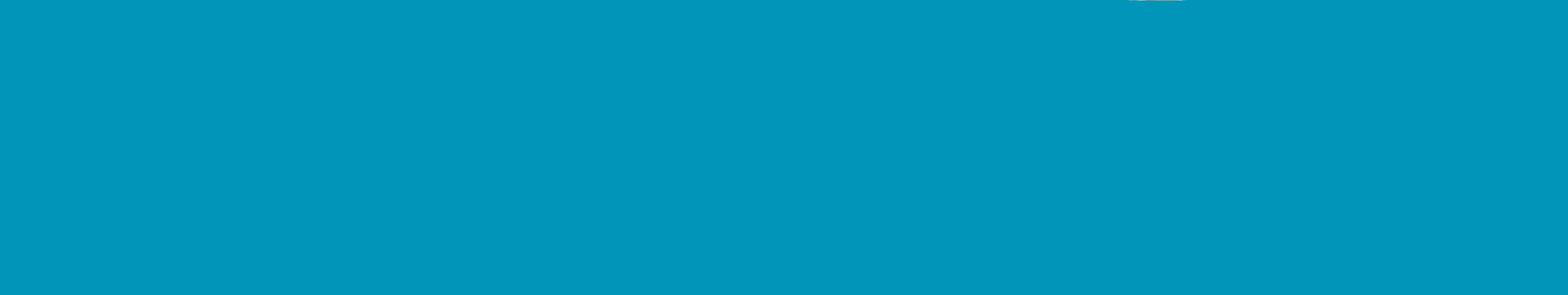 Plattform Sicherheit